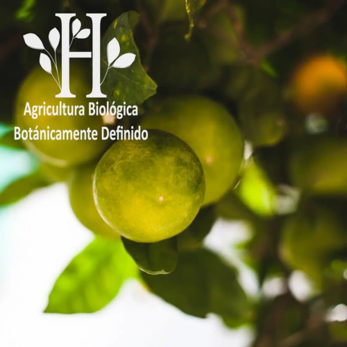 Aceite esencial Mandarina Verde Bio 5ml