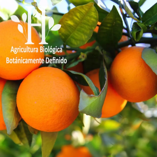 Aceite esencial Naranja Dulce 5ml
